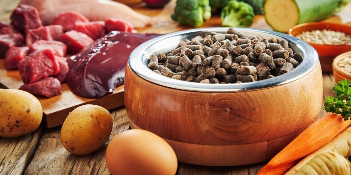 CÓMO NO DEBE SER UN PIENSO PARA PERROS DE CALIDAD