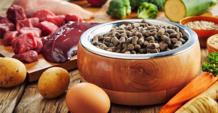 CÓMO NO DEBE SER UN PIENSO PARA PERROS DE CALIDAD