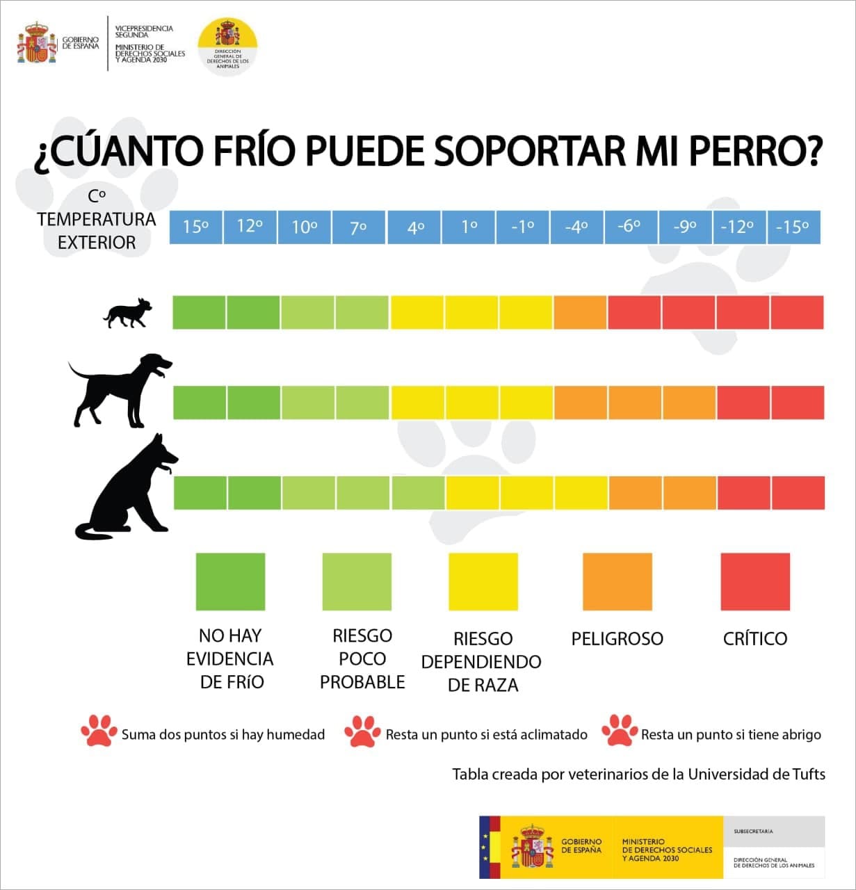 Tabla Qué hacer si los perros tienen frío