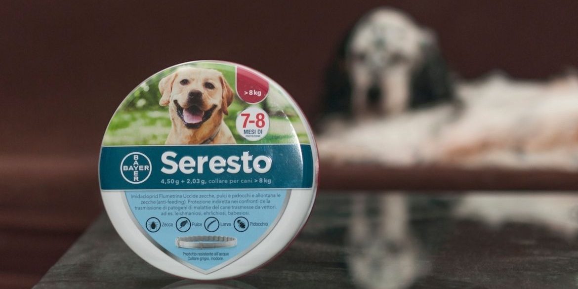 cuales-beneficios-collares-antiparasitarios