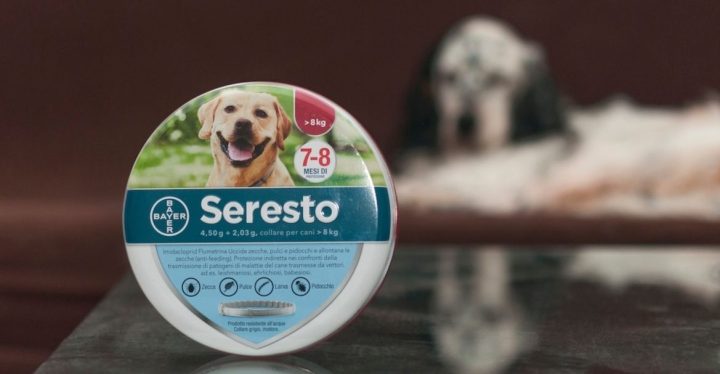 cuales-beneficios-collares-antiparasitarios cuales-beneficios-collares-antiparasitarios