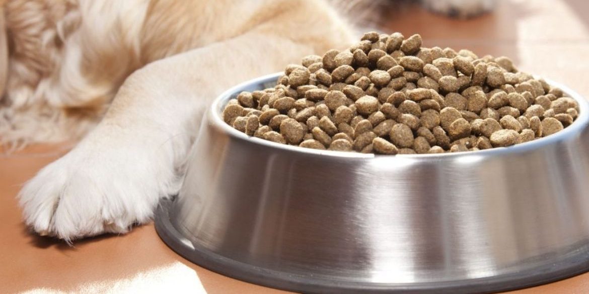 mejores-marcas-piensos-perros Mejores marcas piensos para perros