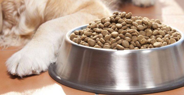 mejores-marcas-piensos-perros Mejores marcas piensos para perros