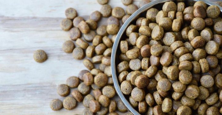 Piensos Hipoalergénicos