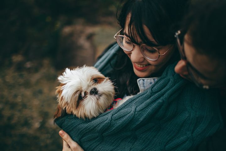 Tips para elegir un perro según tu personalidad Tips para elegir un perro según tu personalidad