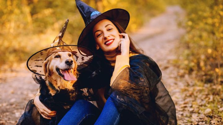 10 DISFRACES CON TU PERRO ORIGINALES PARA HALLOWEEN