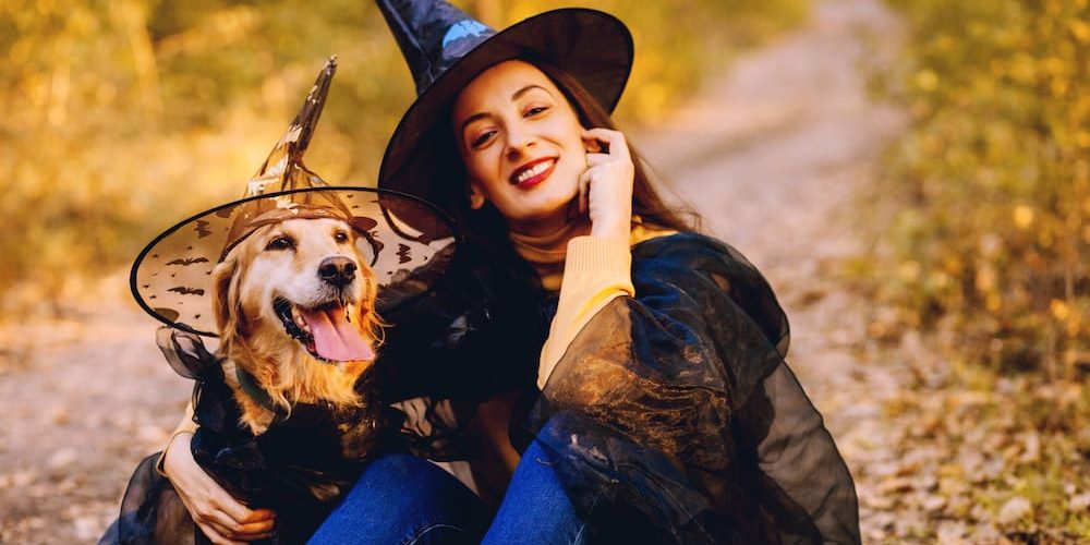 10 DISFRACES CON TU PERRO ORIGINALES PARA HALLOWEEN 10 DISFRACES CON TU PERRO ORIGINALES PARA HALLOWEEN
